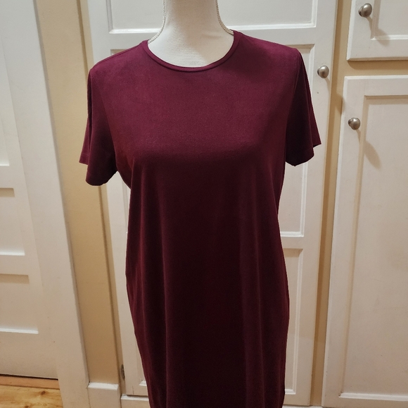 Brandy Melville Women's Short-sleeved T-shirt Dress - Picture 3 of 13